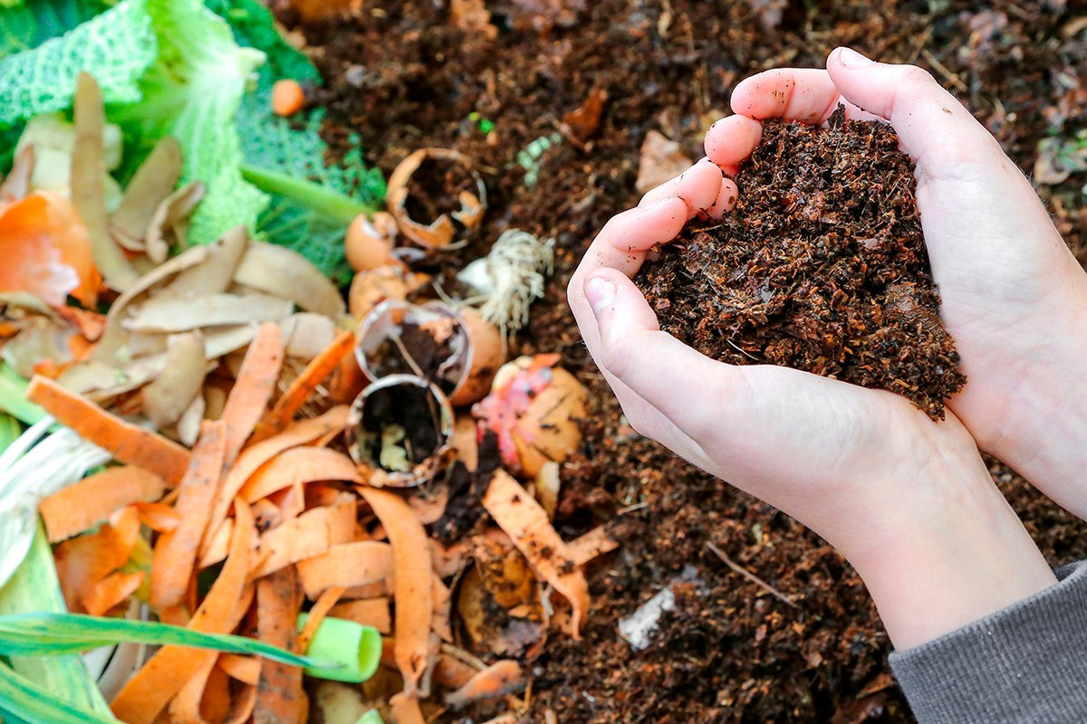 Utilizarea cojilor de dovleac în pământul plantelor: de ce se recomandă acest lucru și la ce servește